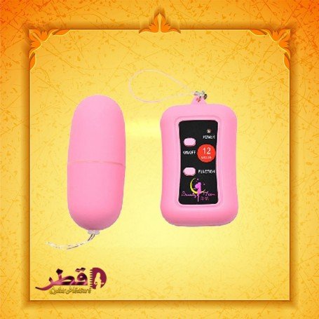 Remote Control Vibrating Egg BV-003