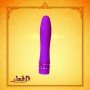 Diamond Princess Luxury Vibrator LXV-002